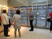  Az Intercisa Múzeum pincétől a padlásig felfedezésre vár!